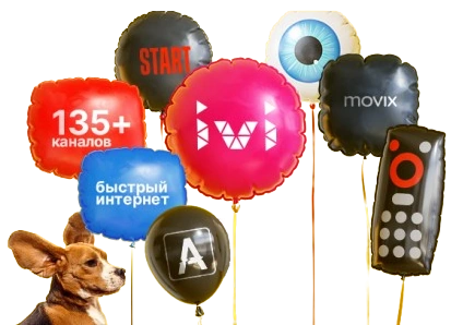 Услуги Дом.ру в село Дарковичи